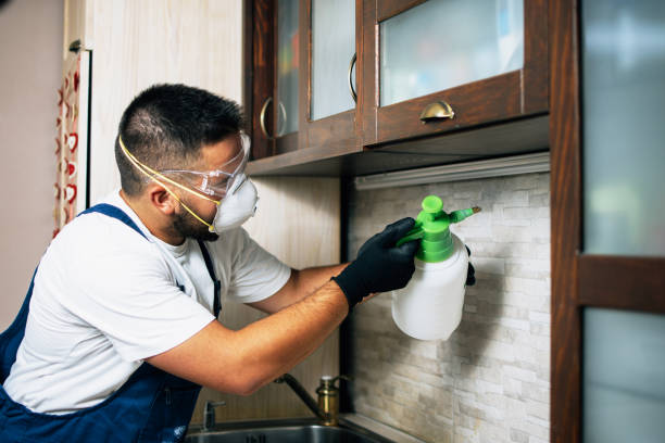 Best Pest Control Treatment  in Elma Center, NY