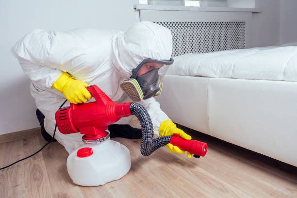 Best Residential Pest Control  in Elma Center, NY