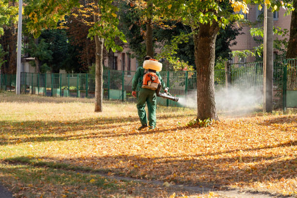 Best Mosquito Control Services  in Elma Center, NY